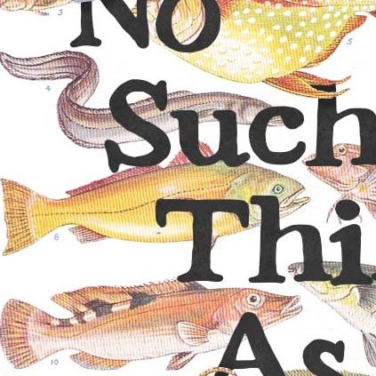 An image of a poster reading 'No Such Thing As a Fish'. The text is surrounded by colorful vintage illustrations of fish.
